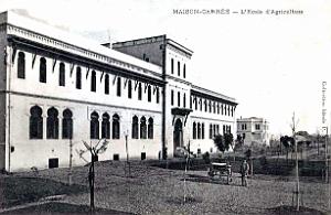 ALGER - MAISON-CARREE - Ecole Nationale d'Agriculture (21)